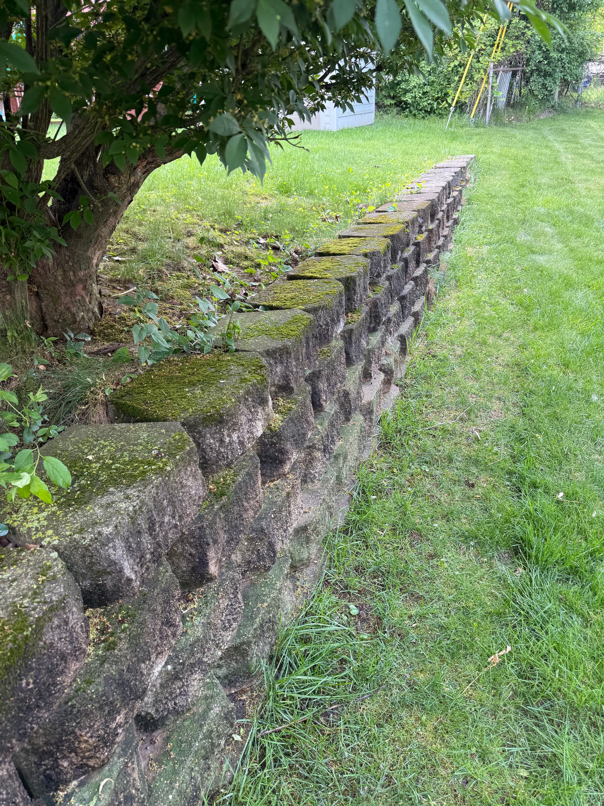 Gallery photos for Stone Retaining Wall Cleaned From Mossy Green to Like-New: Image #1