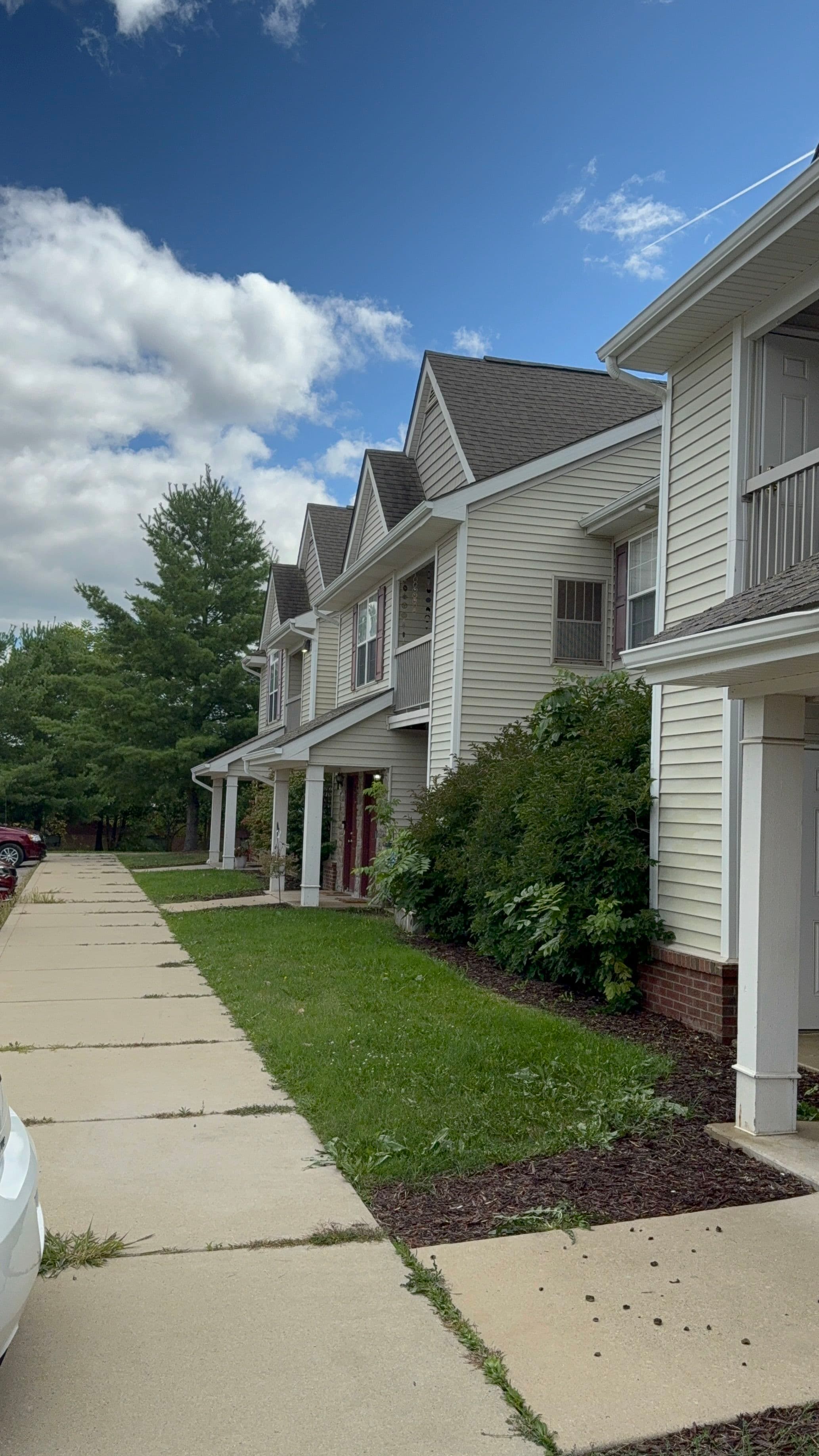 Project Pristine Roof and Window Cleaning for a Beautiful Home image