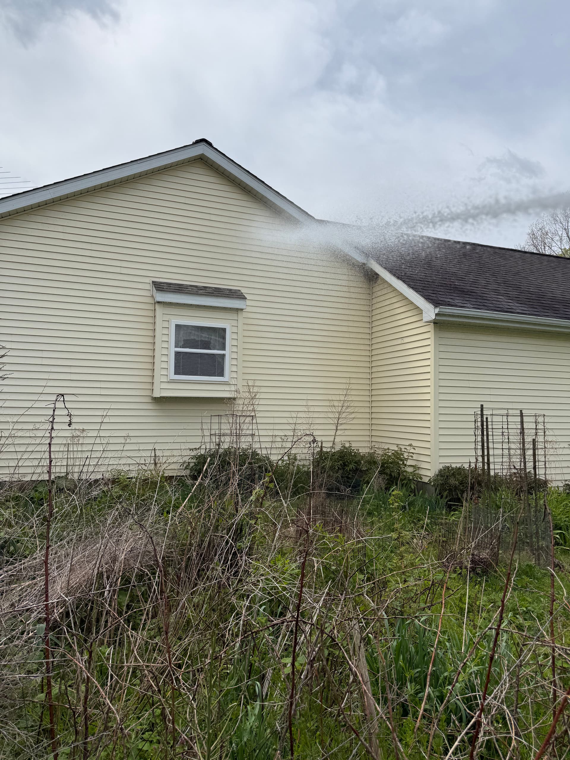 Gallery photos for Stained Siding and a Weathered Deck Get a Full Clean: Image #5
