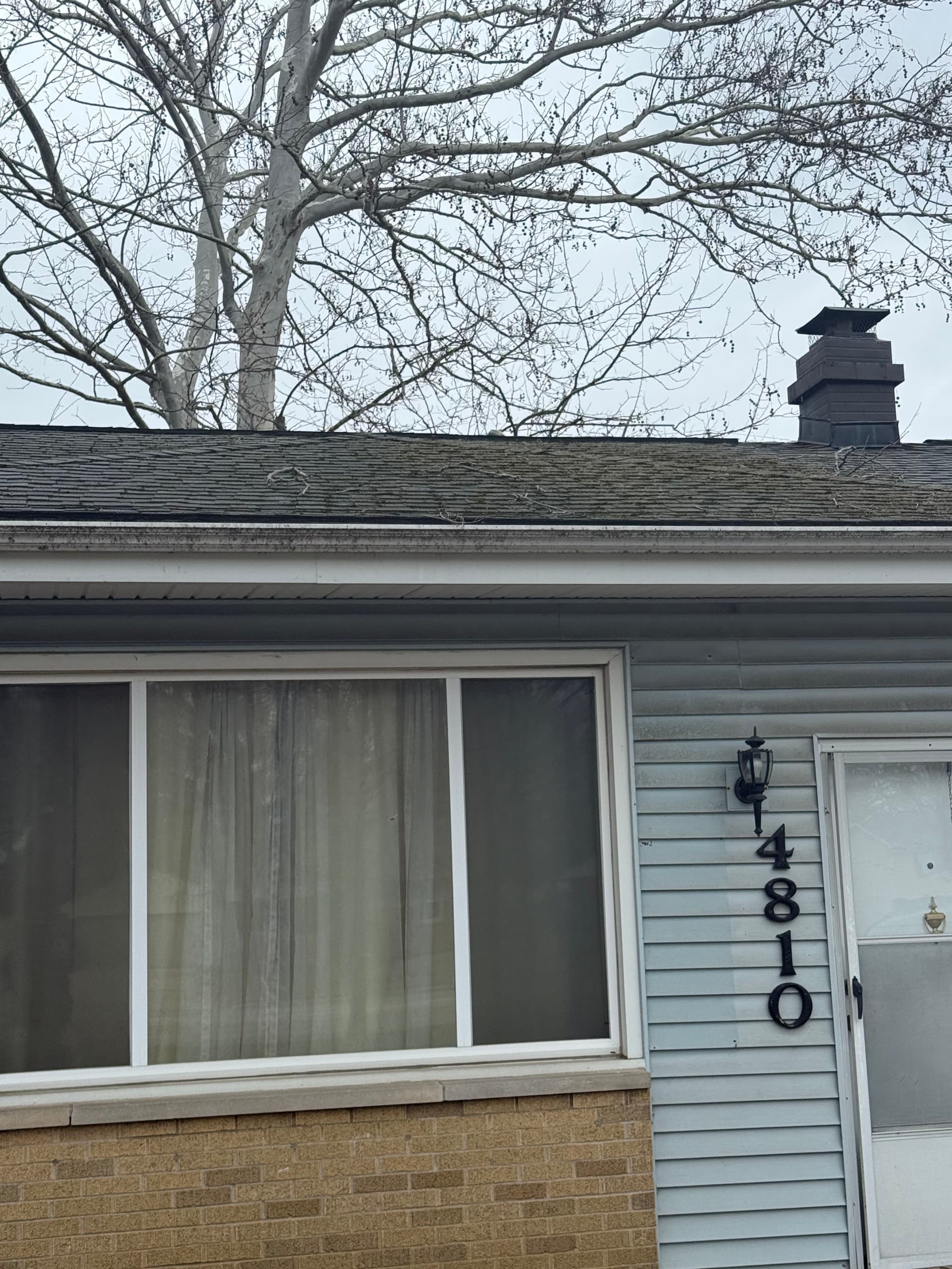 Protect Your Home with Delta Clean's Roof and Gutter Service image