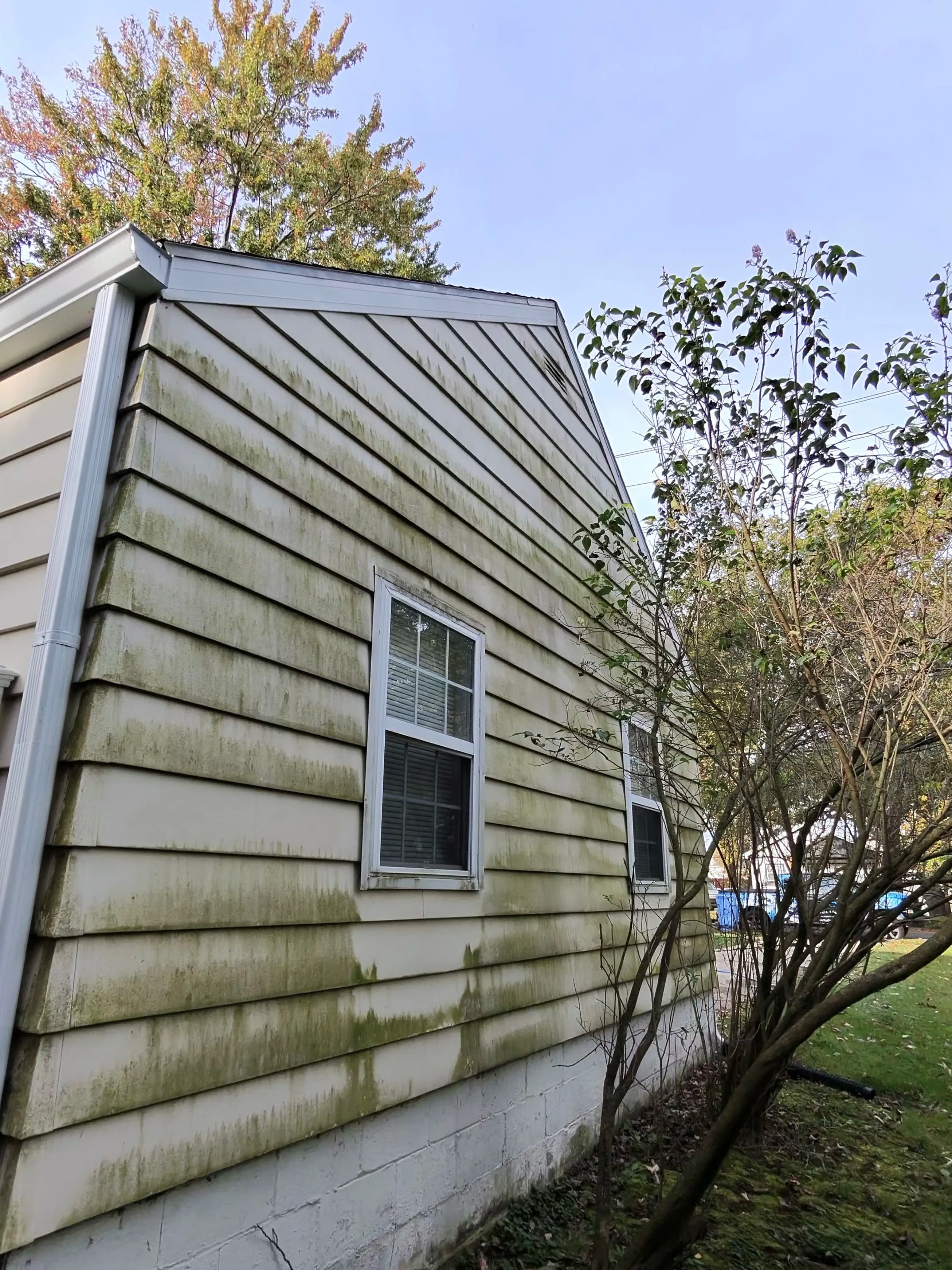 Project Green and Grimy Siding Gets a Full Reset image