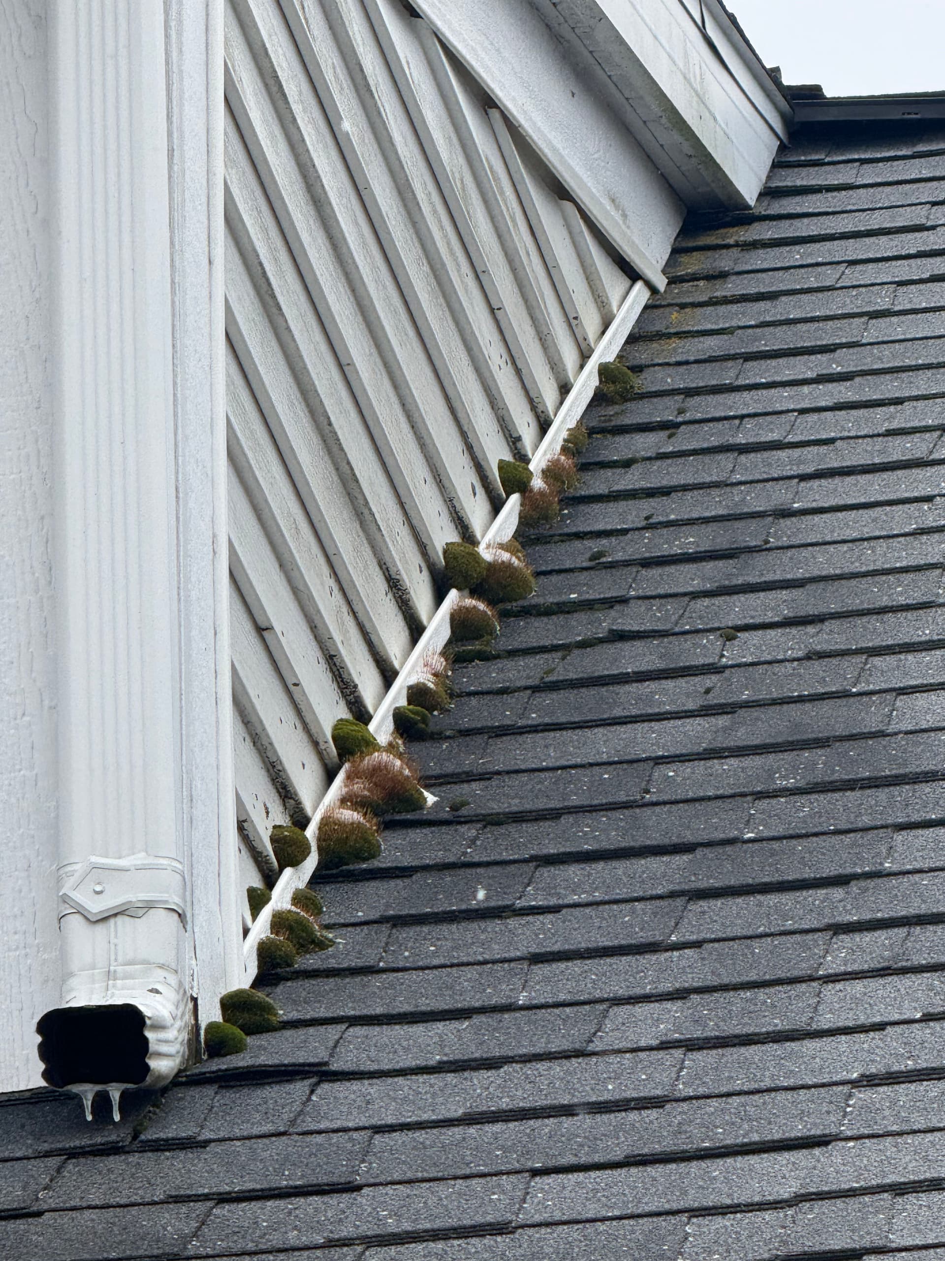 Gallery photos for Protect Your Home with Delta Clean's Roof and Gutter Service: Image #1