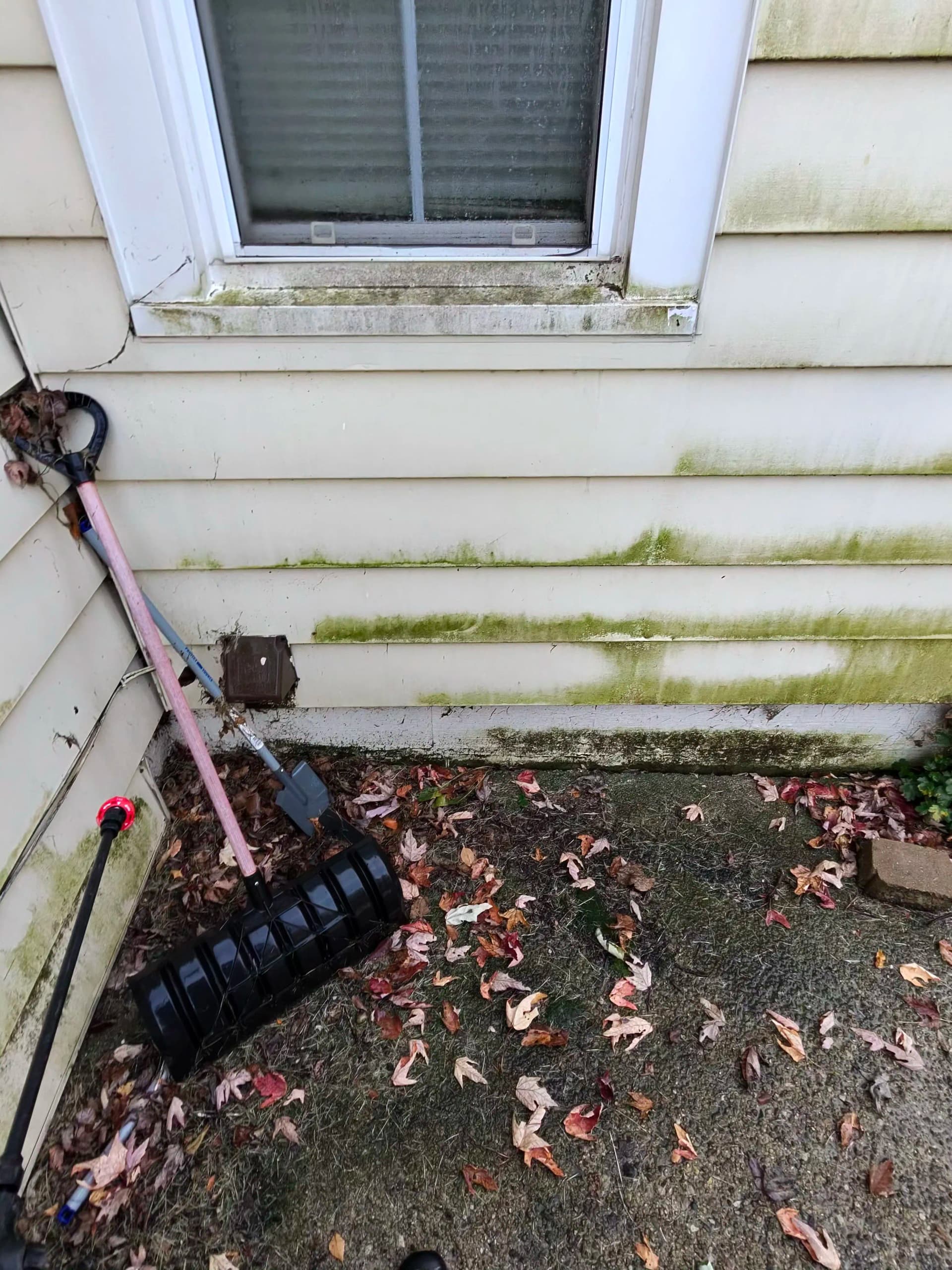 Gallery photos for Green and Grimy Siding Gets a Full Reset: Image #4