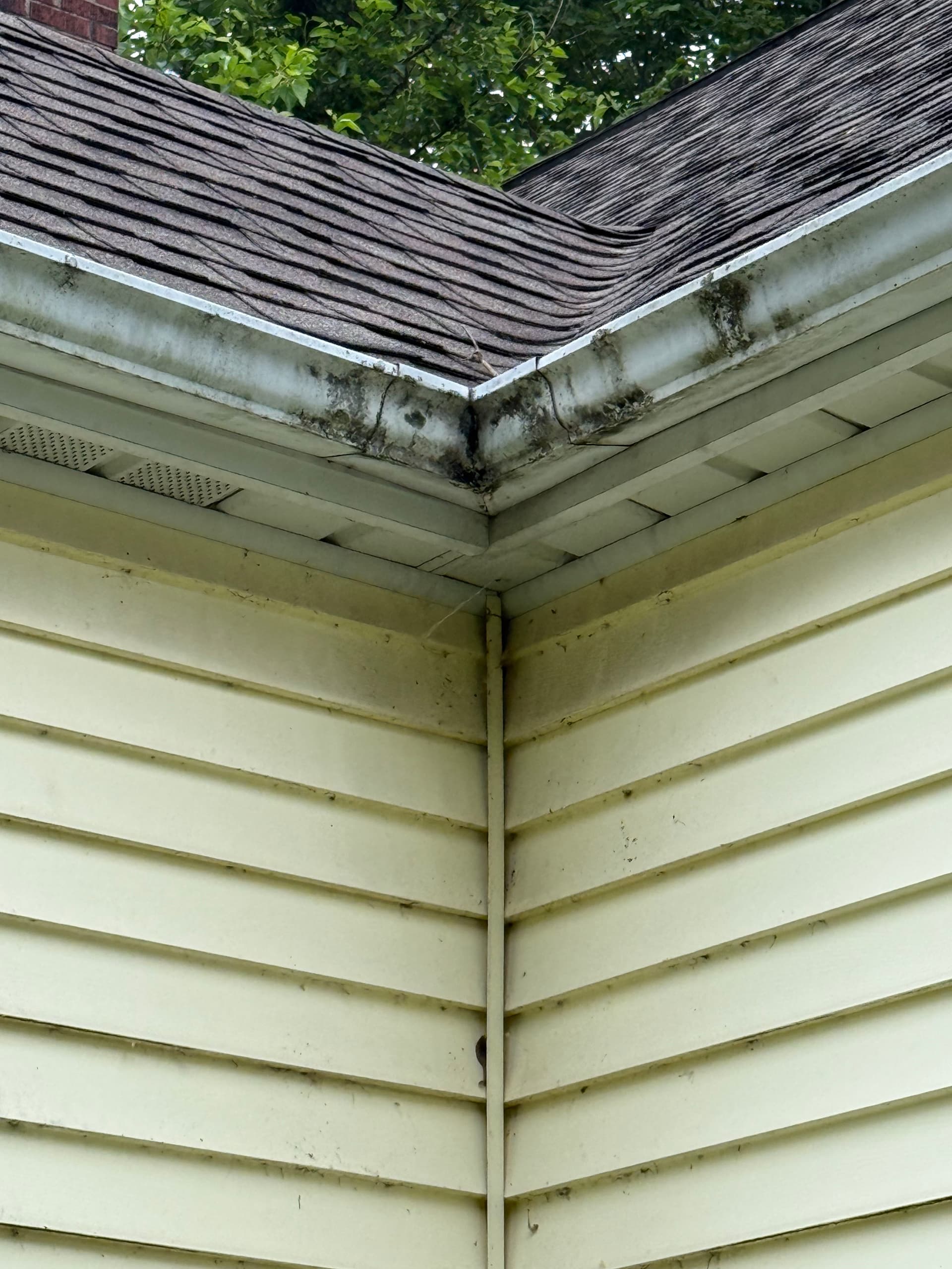 House Washing for Rental Properties That Need a Fresh Start image