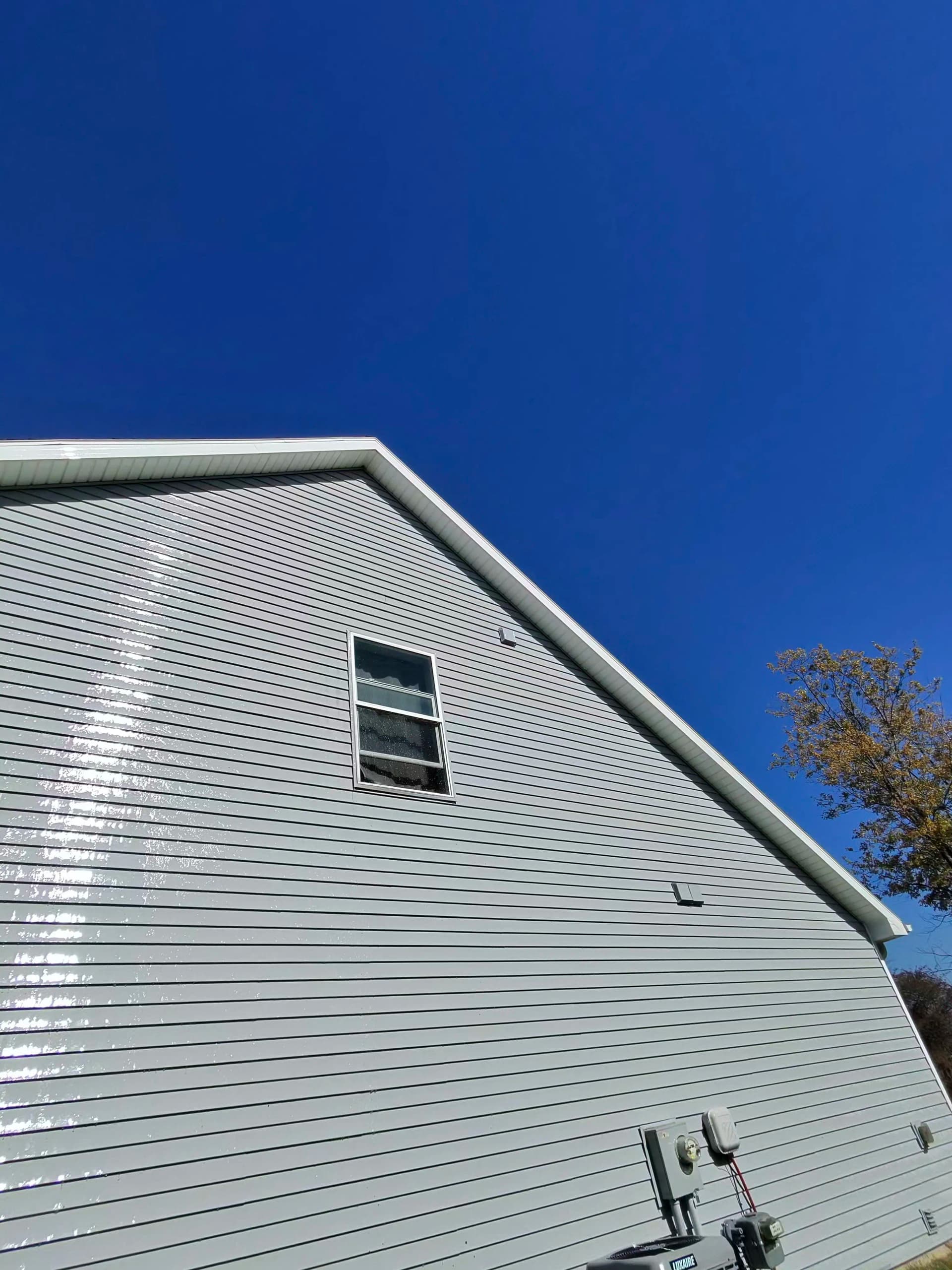 Gallery photos for Algae on Your Siding Doesn't Stop When the Weather Cools: Image #3