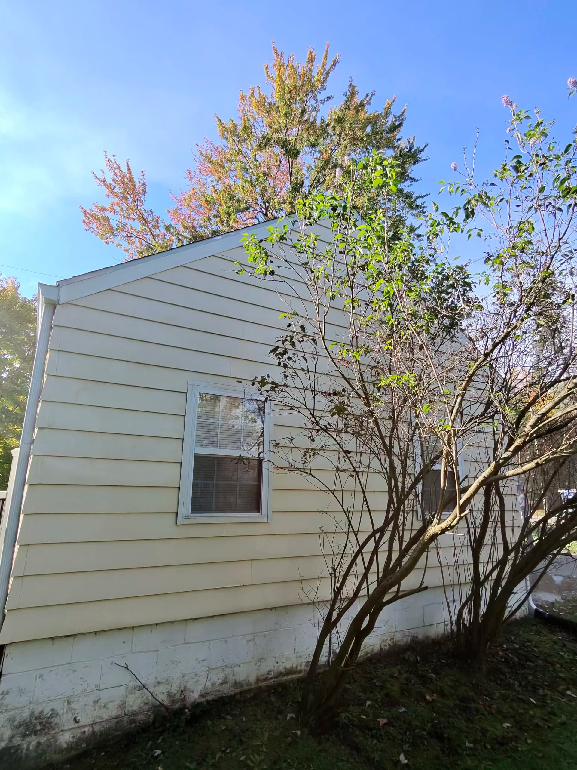 Gallery photos for Green and Grimy Siding Gets a Full Reset: Image #1