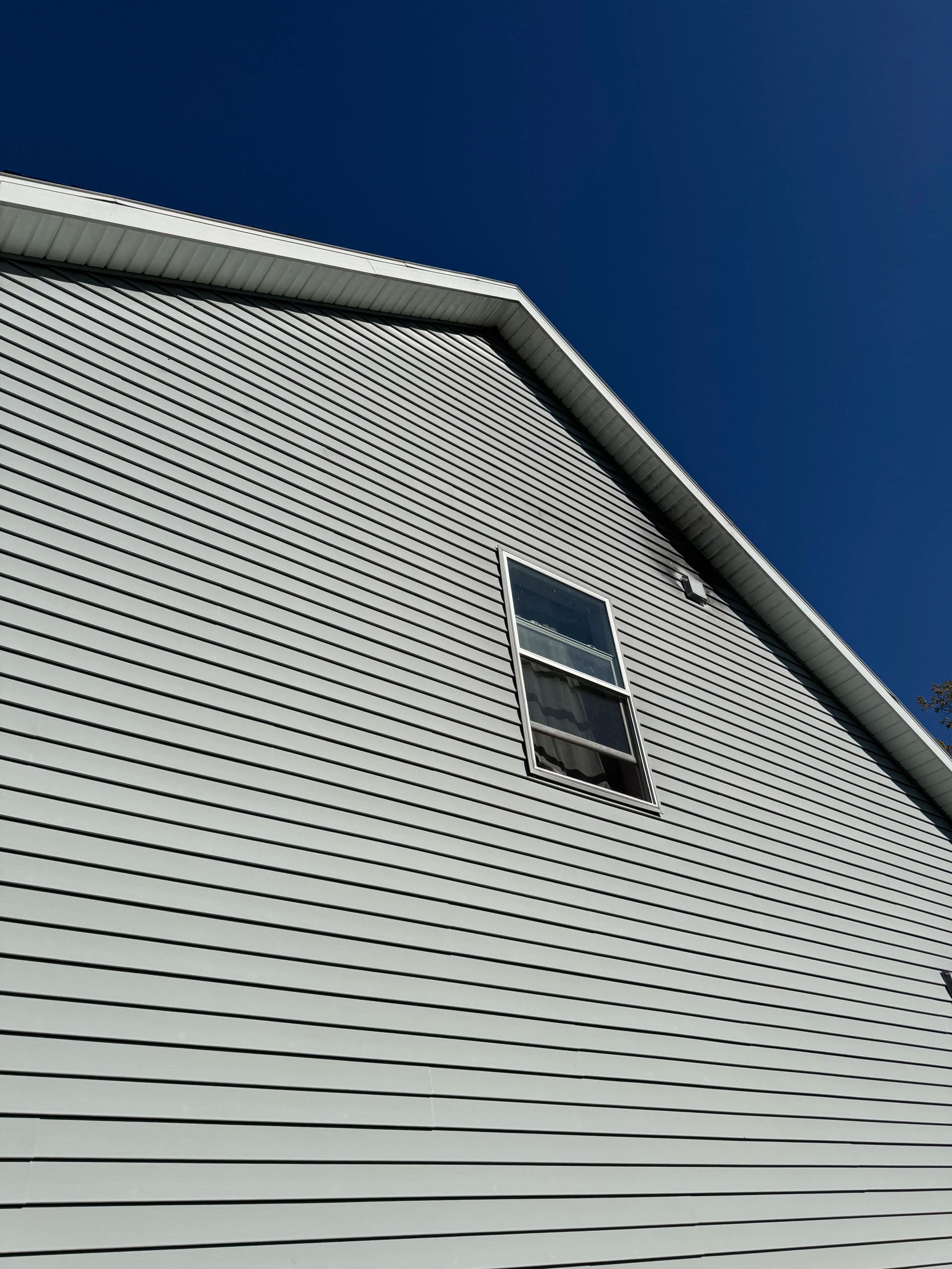 Gallery photos for Algae on Your Siding Doesn't Stop When the Weather Cools: Image #2