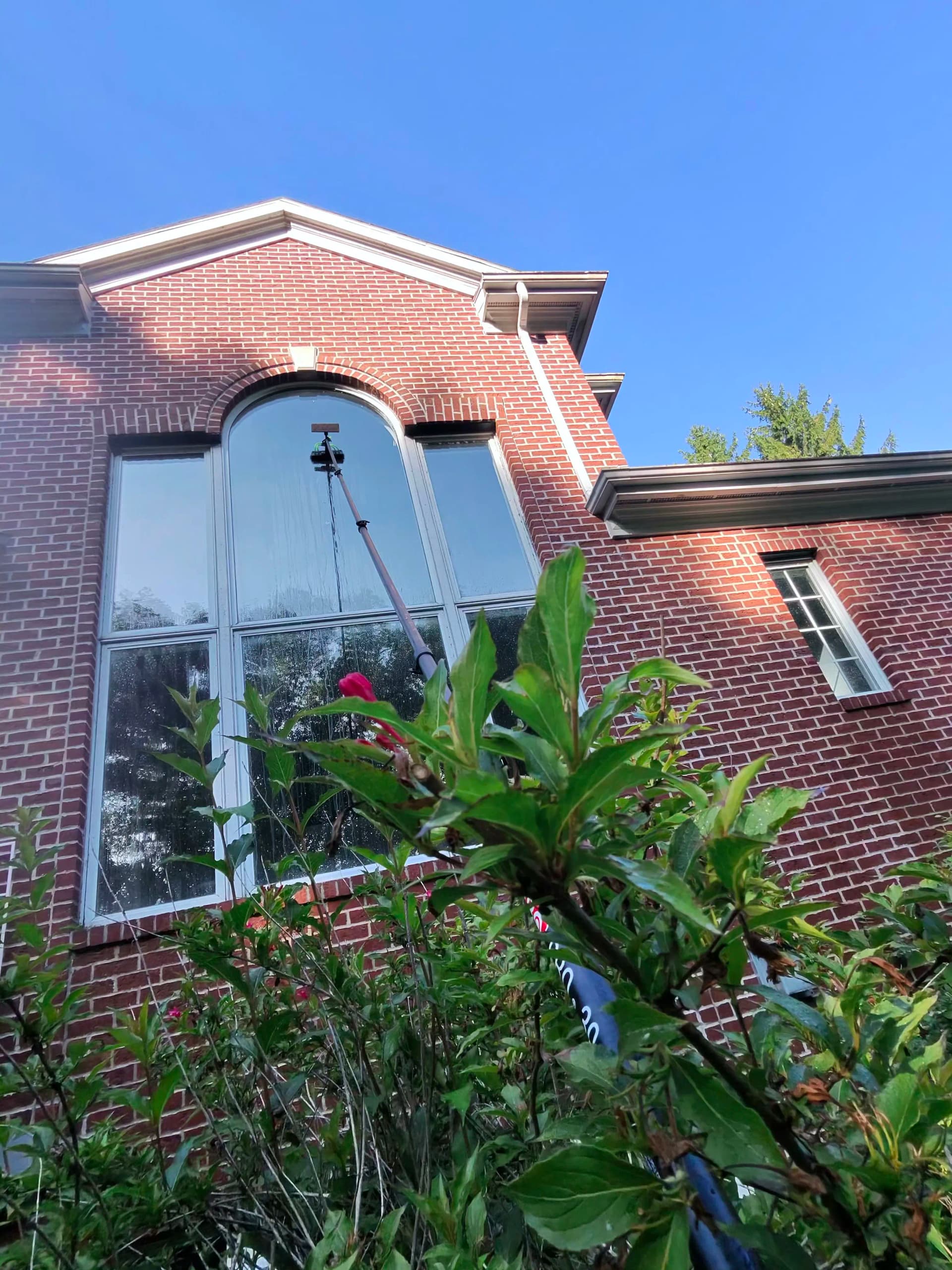 Gallery photos for High Windows Are No Problem for Delta Clean: Image #1