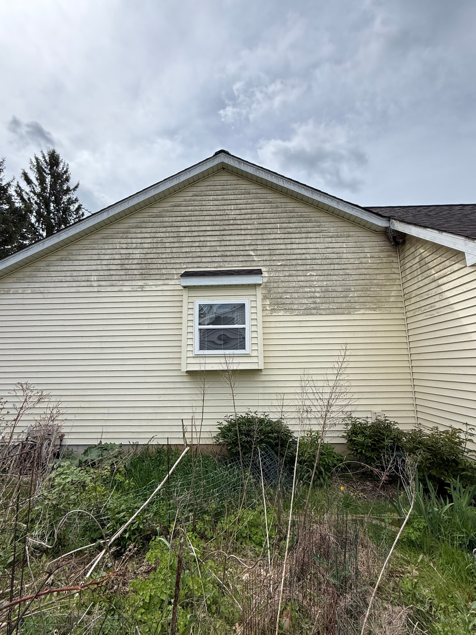 Gallery photos for Stained Siding and a Weathered Deck Get a Full Clean: Image #4
