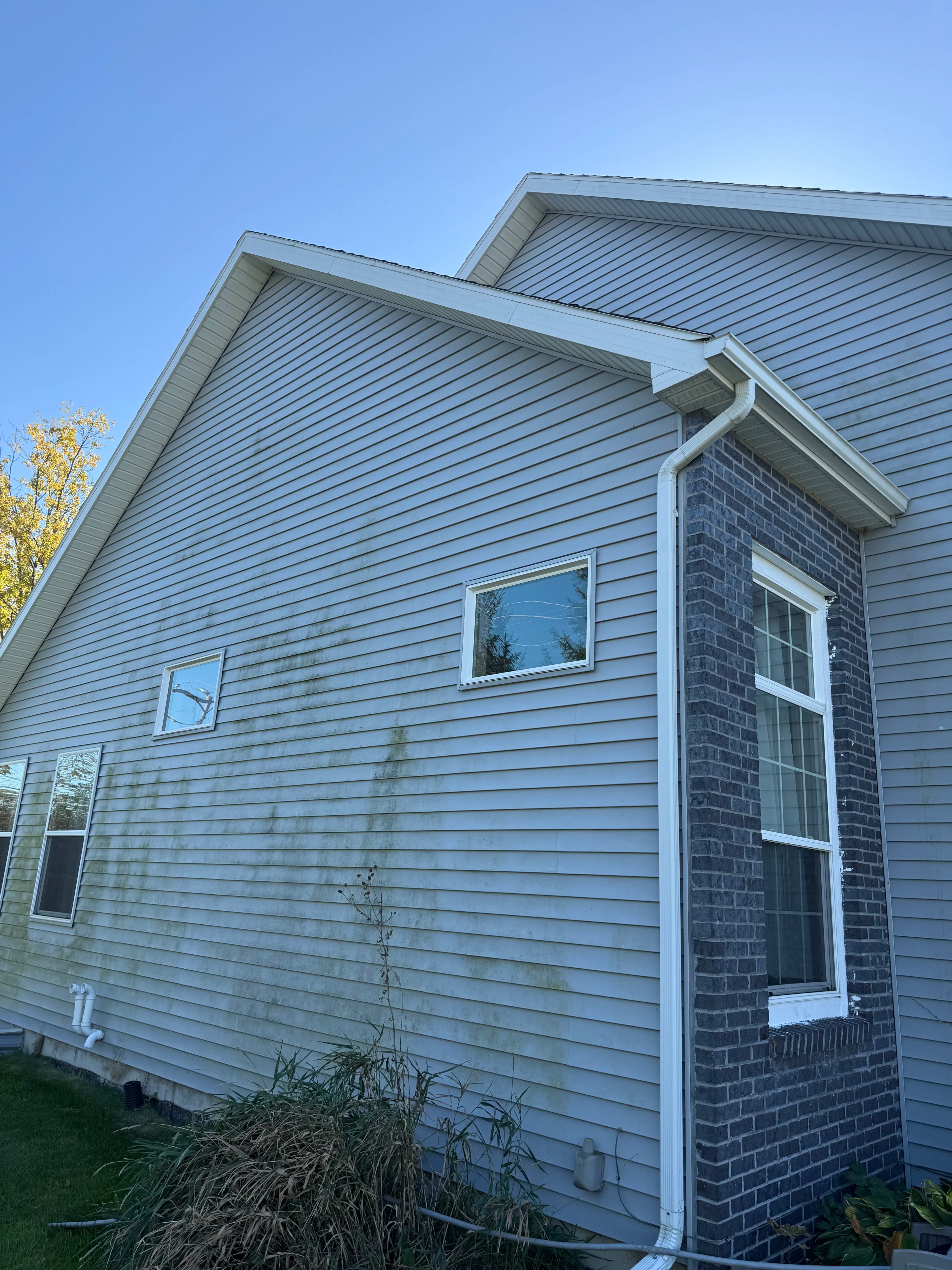 Project Algae on Your Siding Doesn't Stop When the Weather Cools image