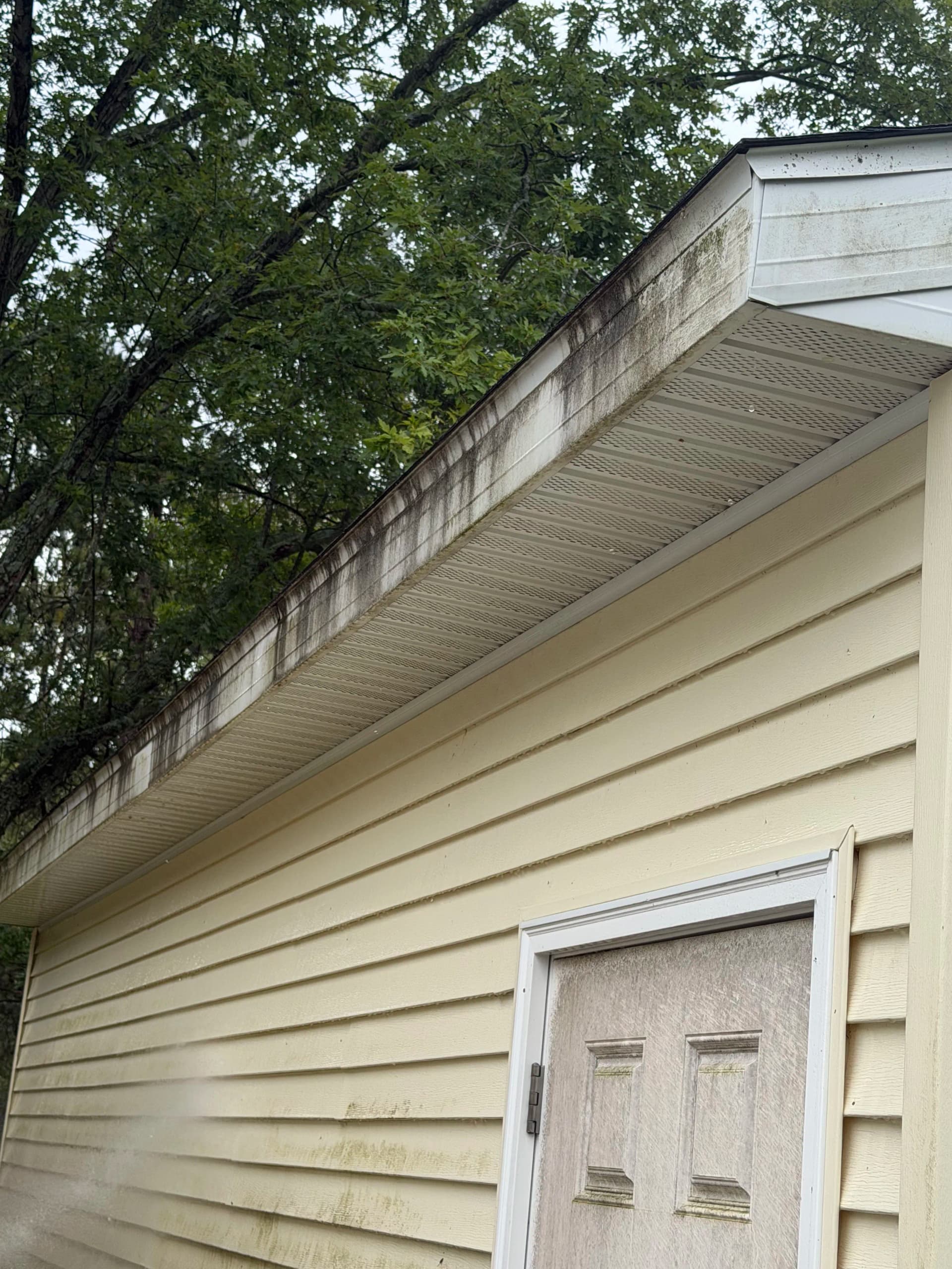 House Washing in Grand Ledge Brings the Bright Back image