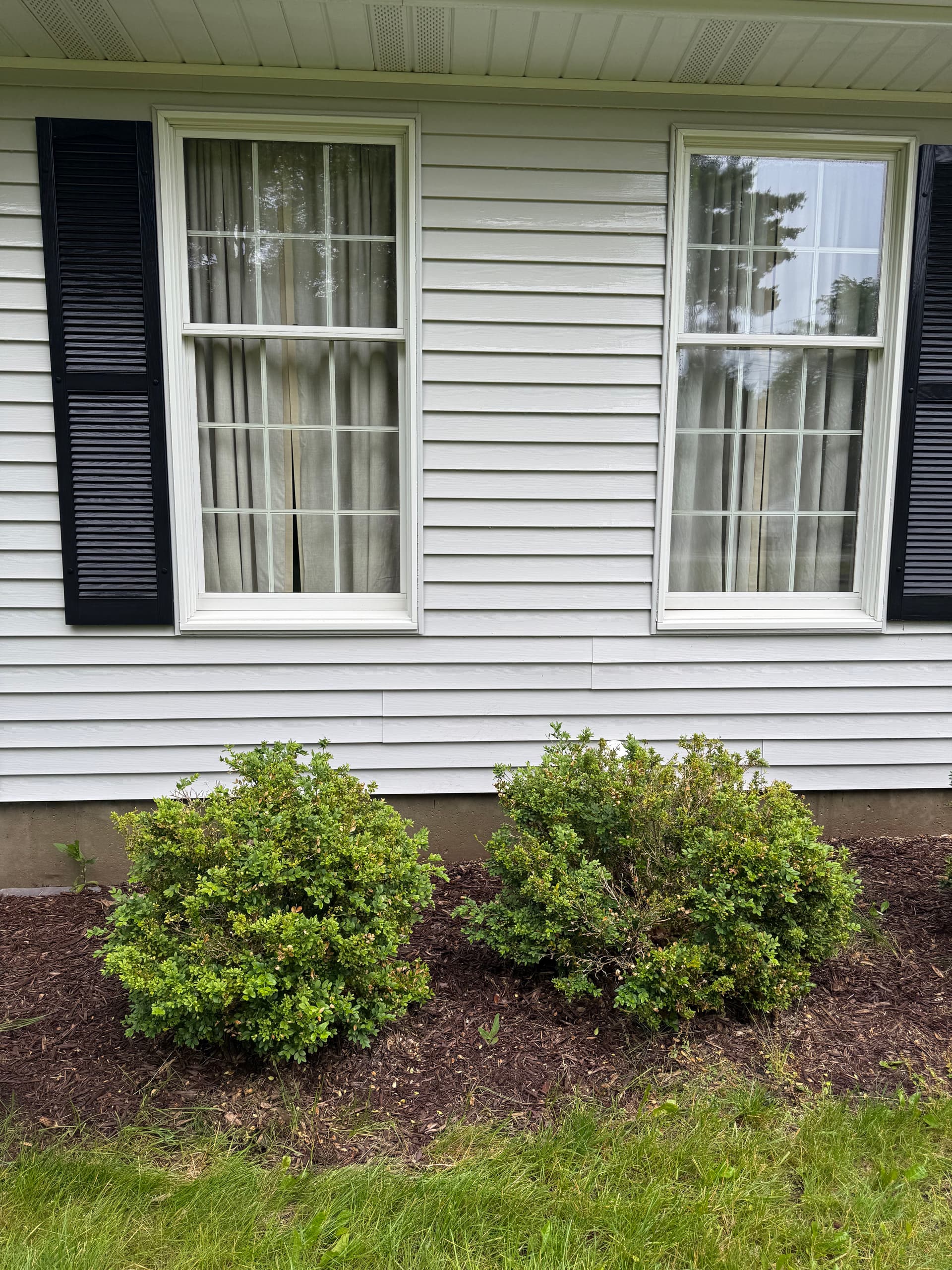 Gallery photos for House Washing and Porch Cleaning for a Local Veteran: Image #1