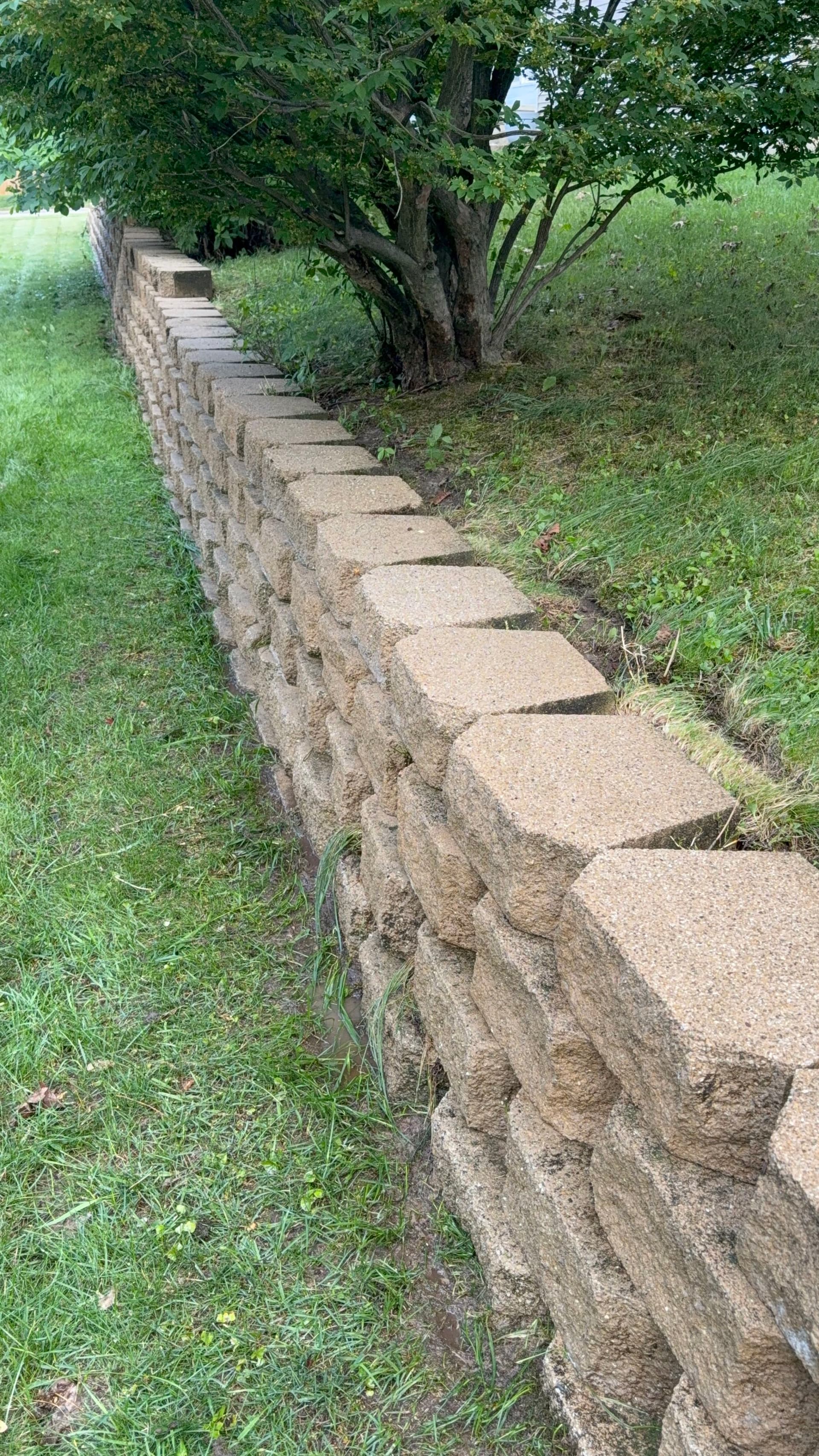 Gallery photos for Stone Retaining Wall Cleaned From Mossy Green to Like-New: Image #2
