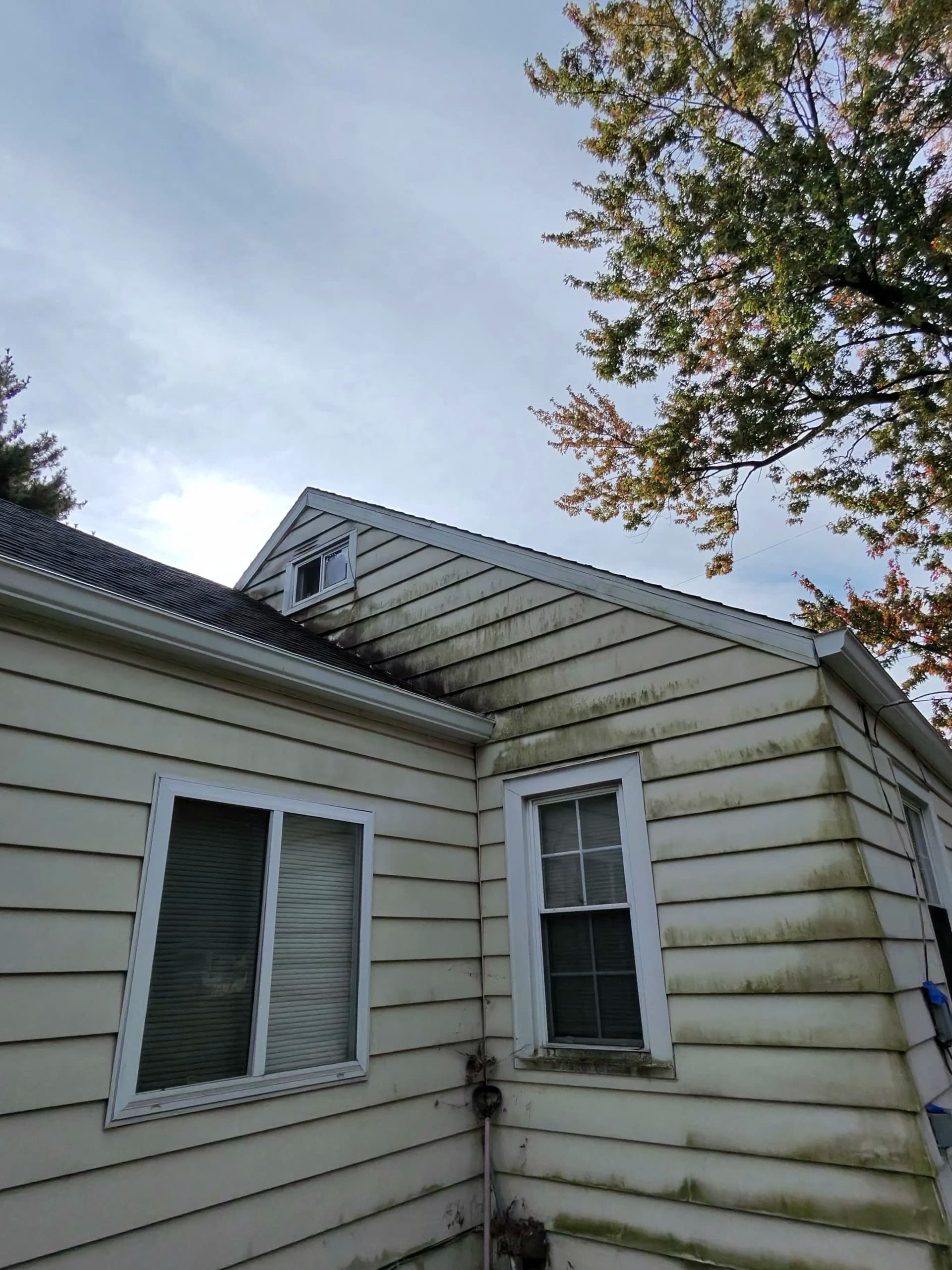 Gallery photos for Green and Grimy Siding Gets a Full Reset: Image #2