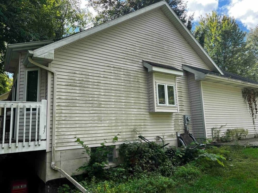 Side view of a weathered house with overgrown vegetation and a clear blue sky.