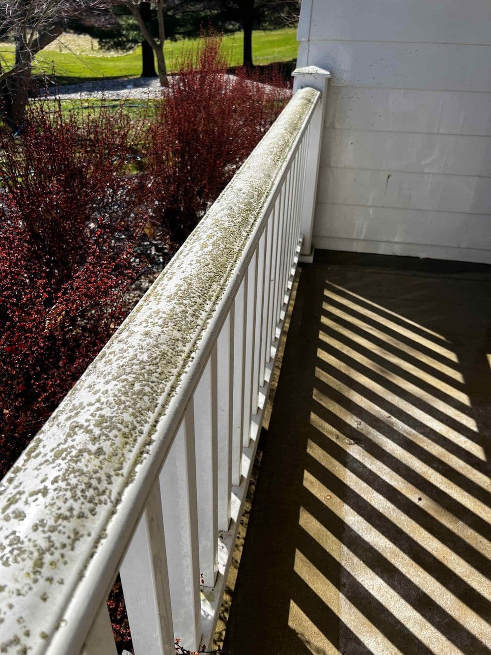 Moldy white railing on porch with shadows and red foliage in background.