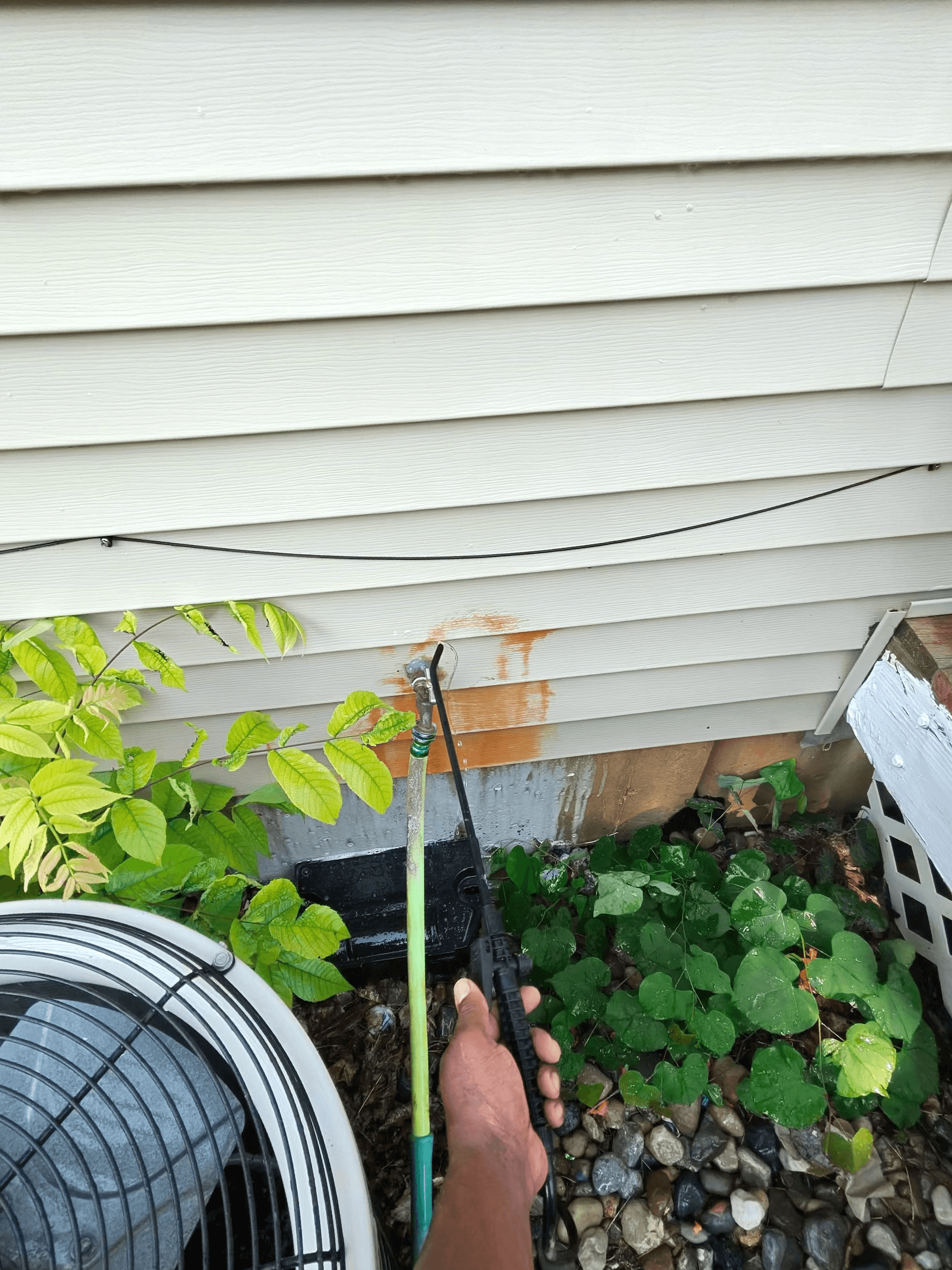 Gallery photos for Soft Wash House Cleaning That Tackles Organic Growth and Rust Stains: Image #3